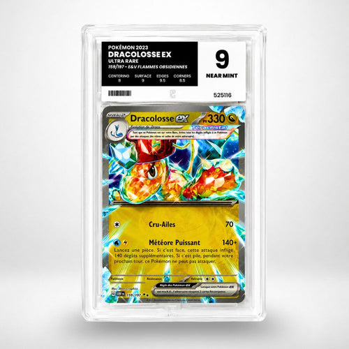 Dracolosse ex gradée 9 — Megadrop