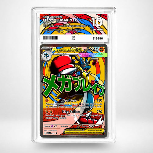 Méga-Lucario ex (FR)